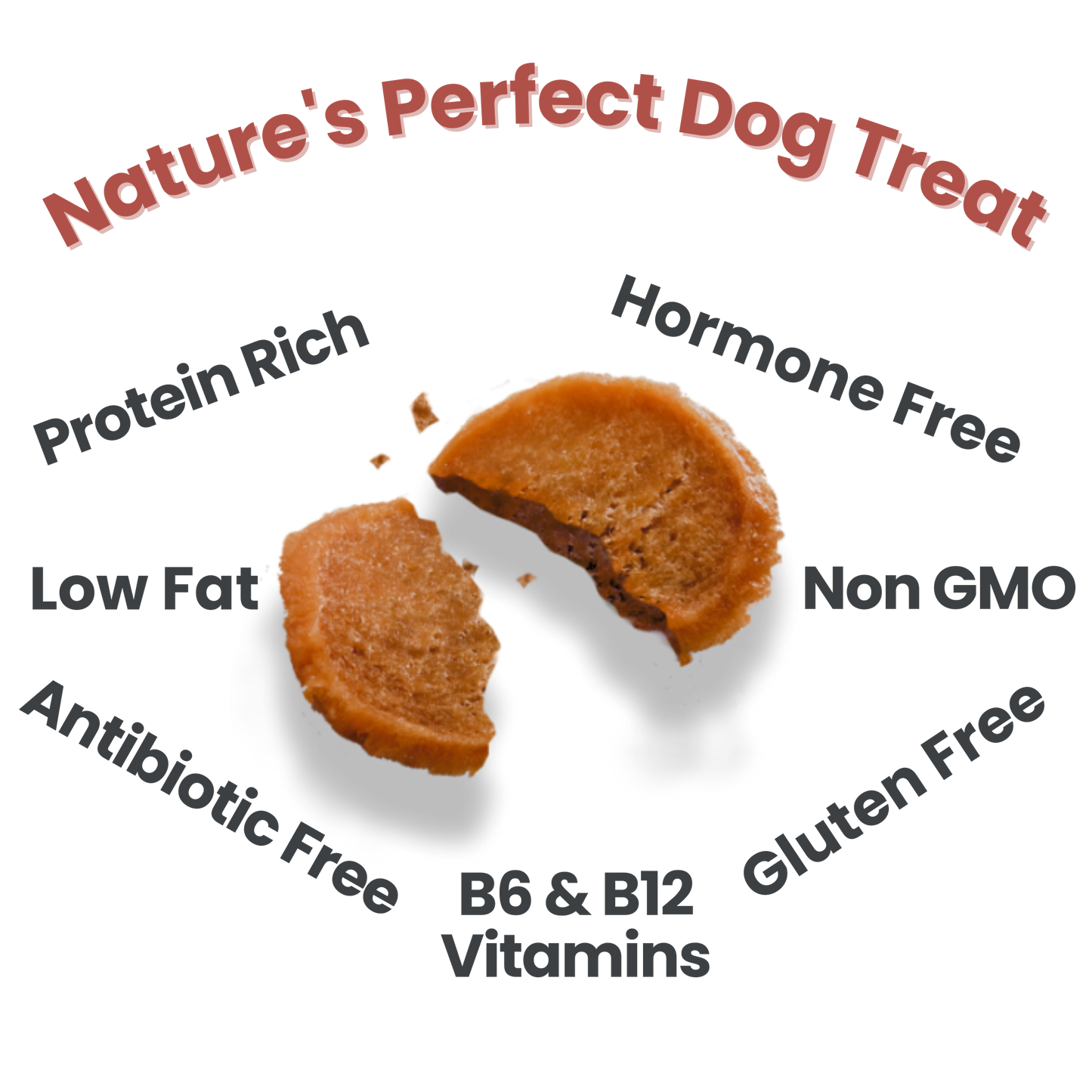 Farm to Pet - Turkey Chips Dog Treats: 4oz