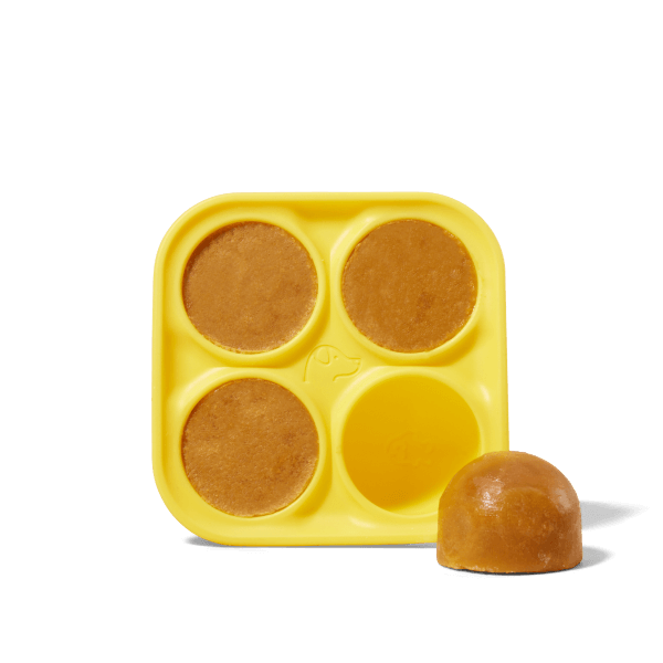 Woof - Pupsicle Treat Tray: Extra Large