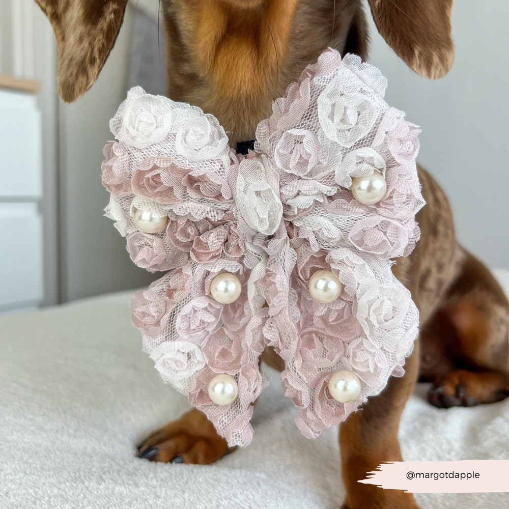 Cocopup London - Pearly Pup Sailor Bow Tie