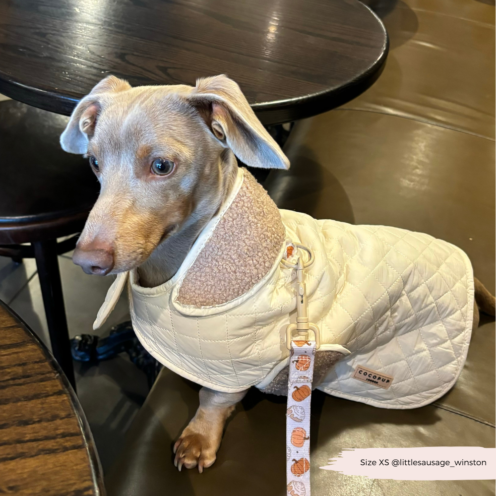 Cocopup London - LUXE Quilted Dog Coat - Creamy Chai: Medium