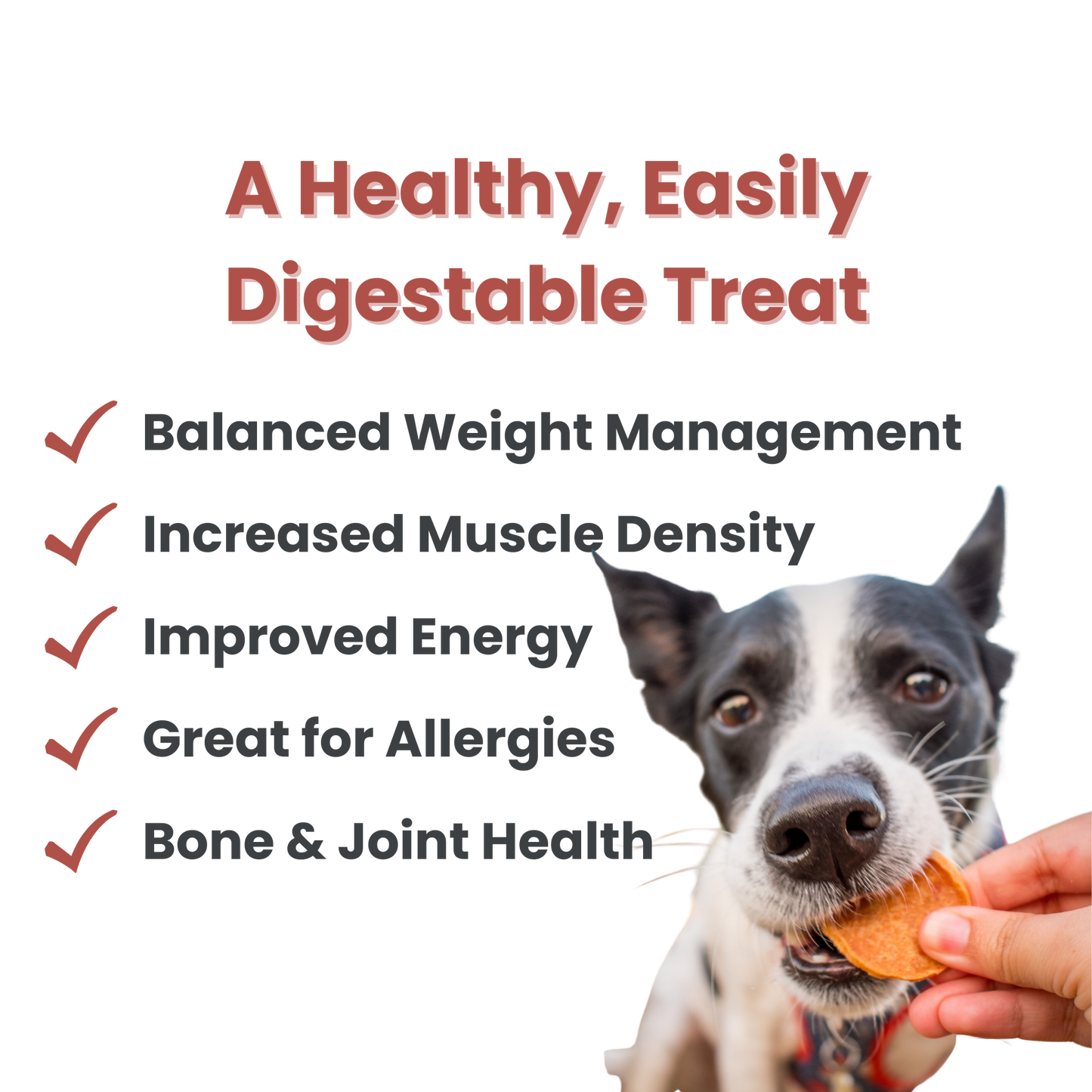 Farm to Pet - Turkey Chips Dog Treats: 4oz