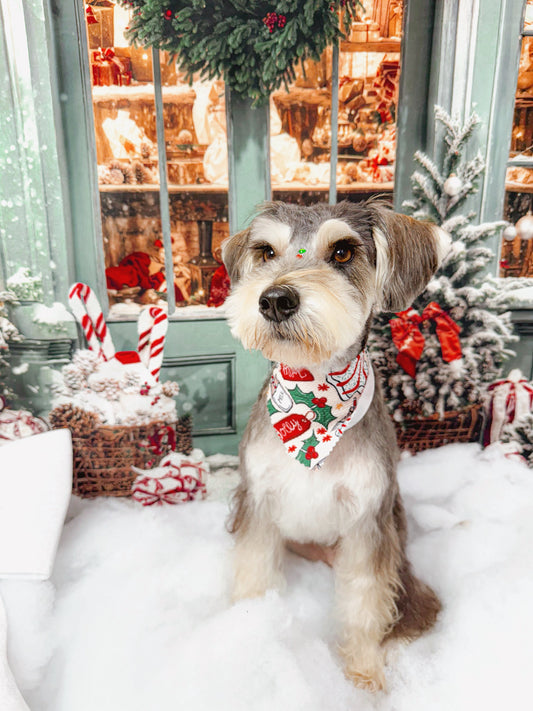 New Year’s Resolutions to Make With Your Dog 🐾✨