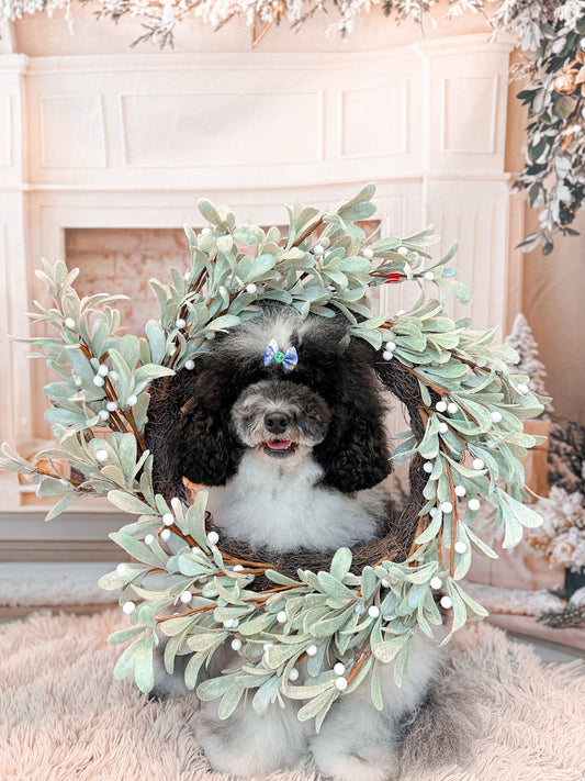 ✨ Wrapping Up the Year with Gratitude