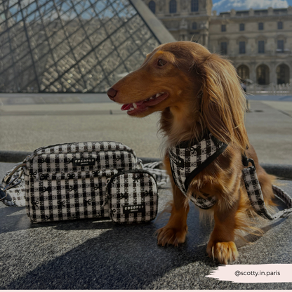 Cocopup London - Pup in Paris Adjustable Neck HARNESS: L