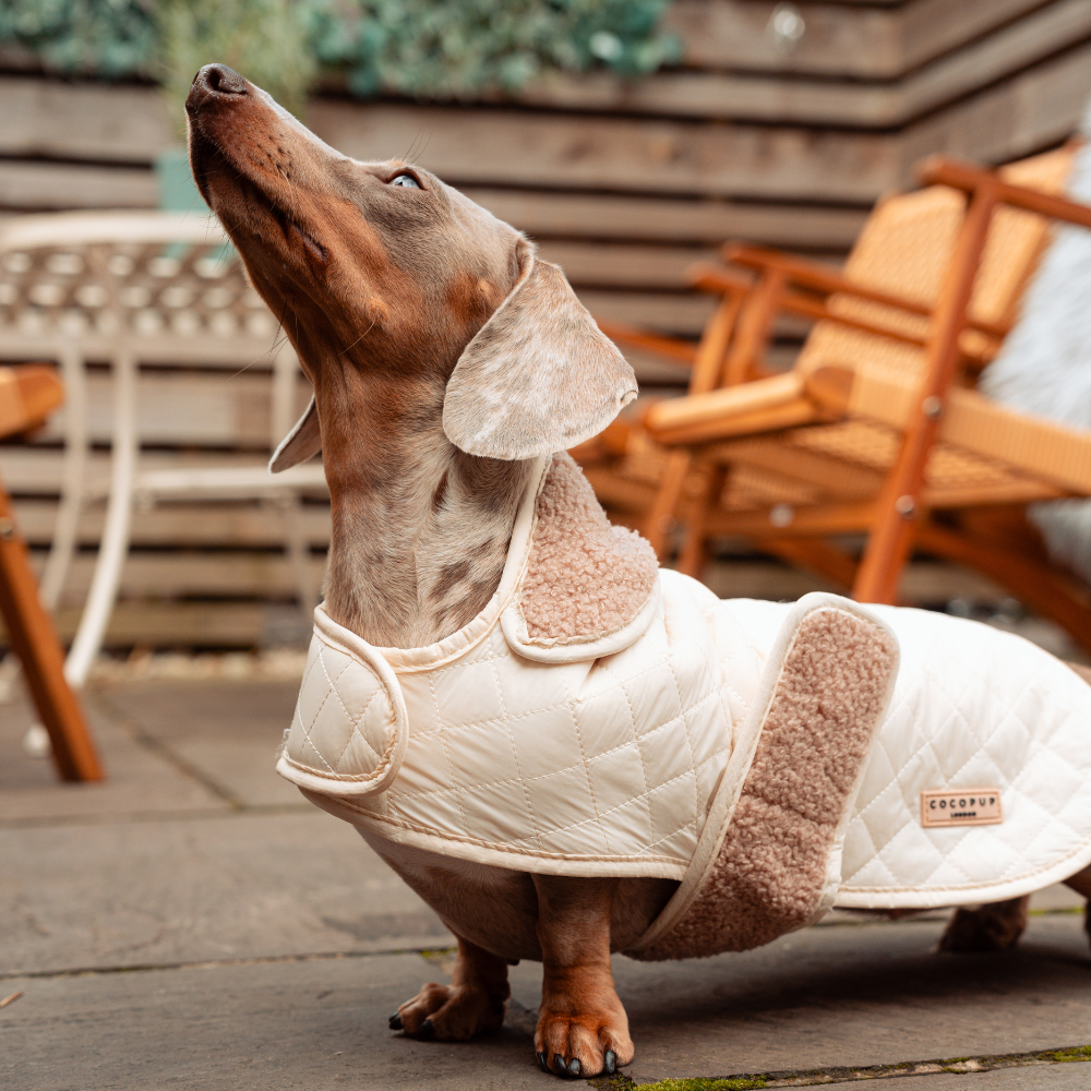 Cocopup London - LUXE Quilted Dog Coat - Creamy Chai: Medium