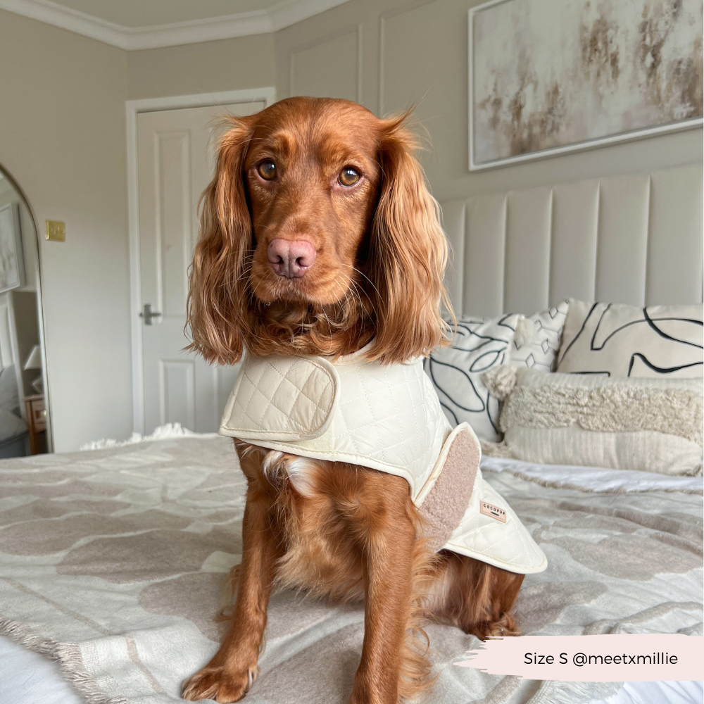 Cocopup London - LUXE Quilted Dog Coat - Creamy Chai: Small