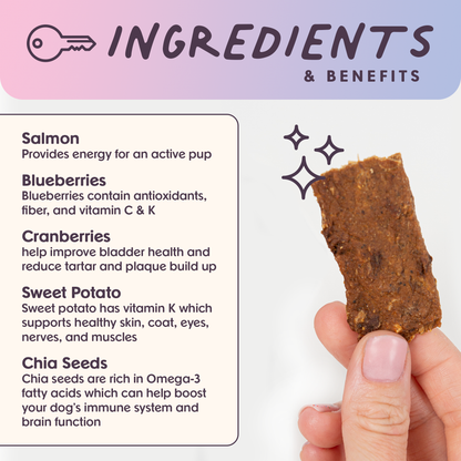 Bundle x Joy - Ride & Vibe Wild-Caught Salmon Jerky Bars for Dogs 5oz: 5oz