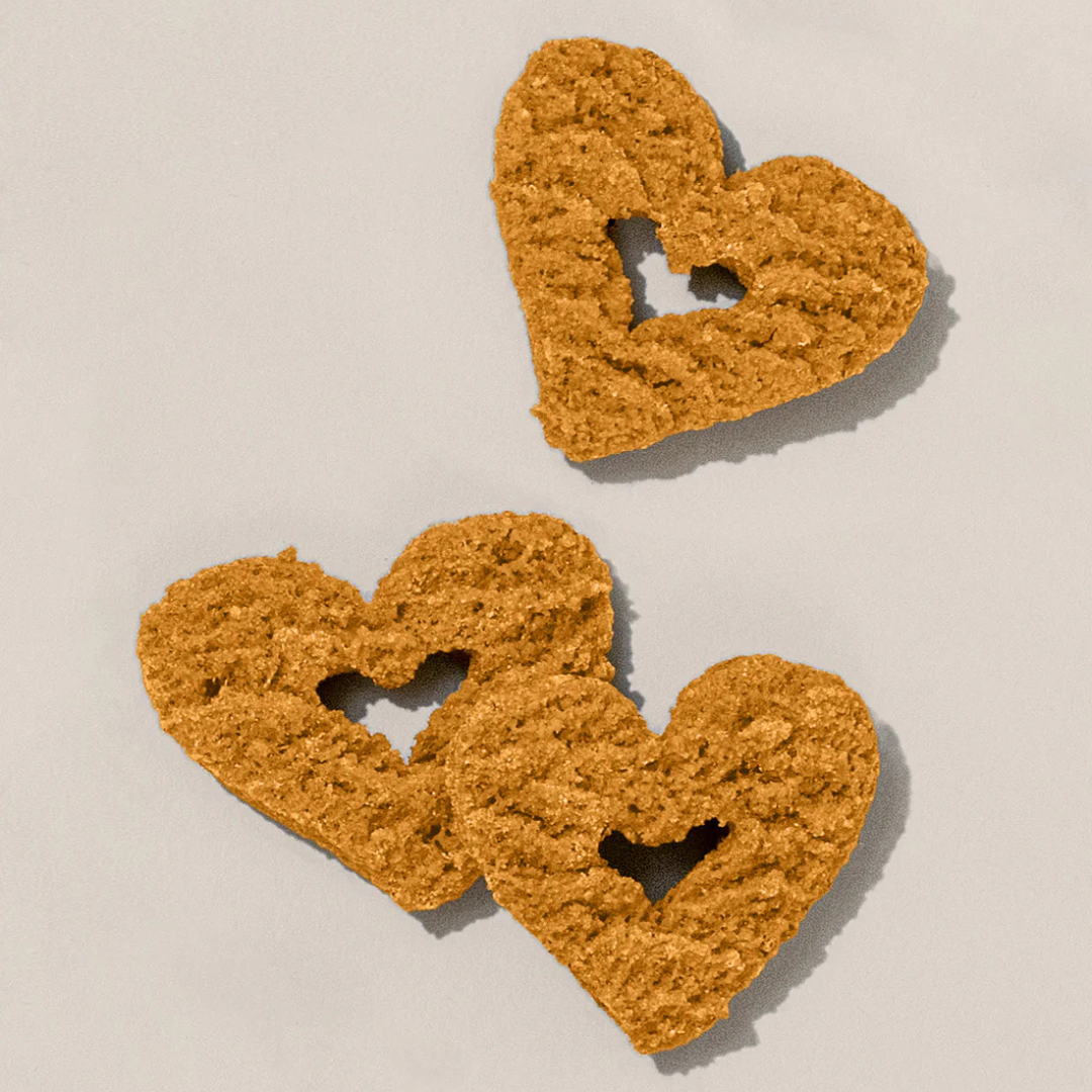 Gogoma - PB + Pumpkin Whole Food Dog Treat for Digestion