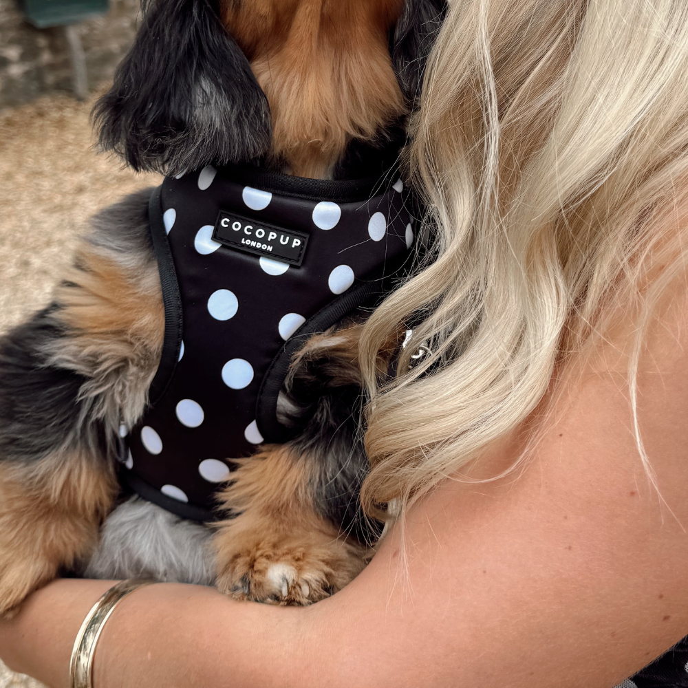 Cocopup London - Satin Polka Dot Adjustable Neck HARNESS: S