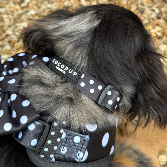 Cocopup London - Satin Polka Dot COLLAR: XS