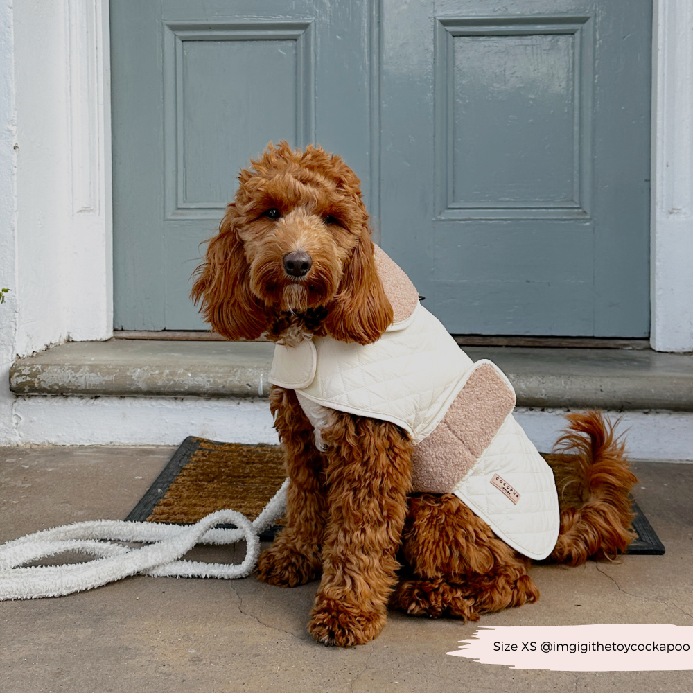 Cocopup London - LUXE Quilted Dog Coat - Creamy Chai: Medium
