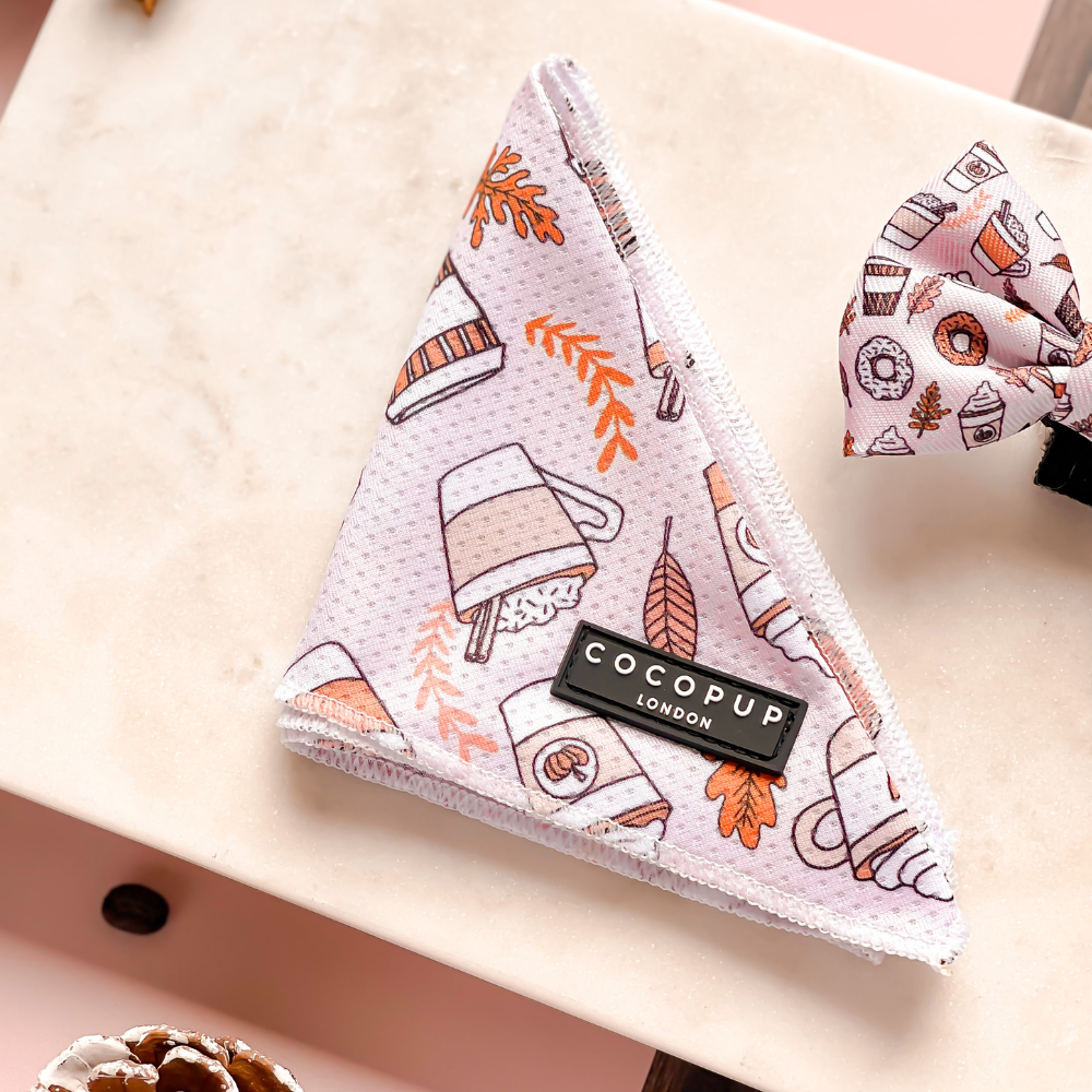 Cocopup London - Autumn Puppuccino Bandana