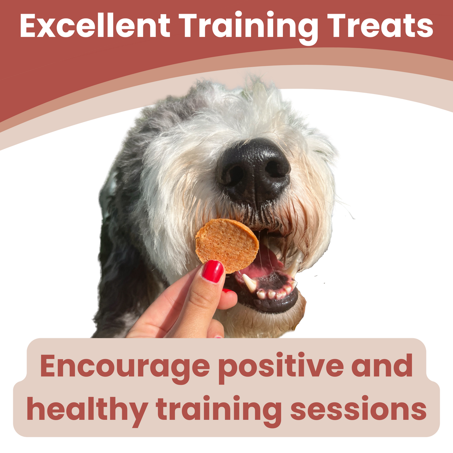 Farm to Pet - Turkey Chips Dog Treats: 4oz