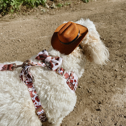 Cocopup London - Rodeo Pup Dog Hat: Small