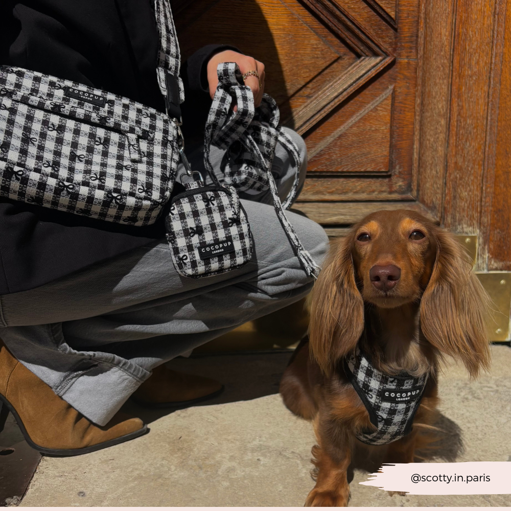 Cocopup London - Treat Pouch - Pup in Paris