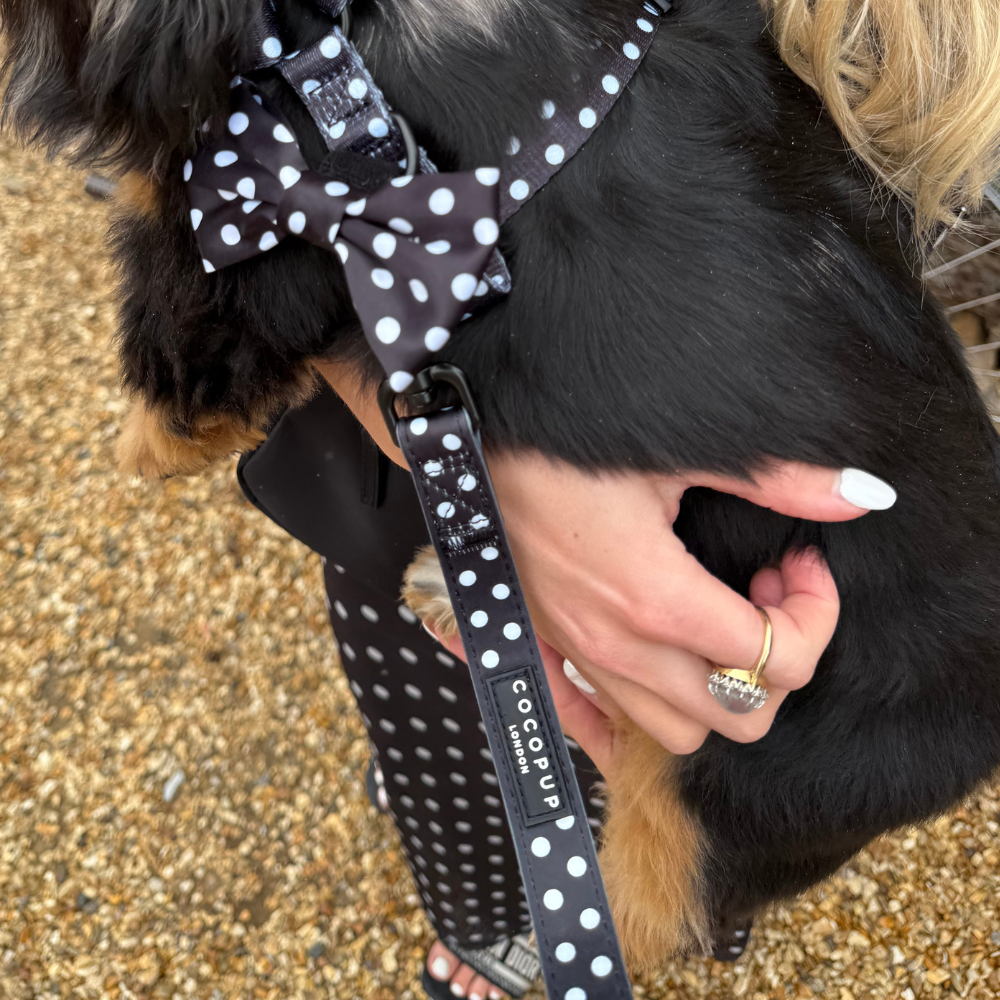 Cocopup London - Satin Polka Dot Lead