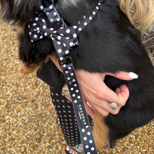Cocopup London - Satin Polka Dot Lead