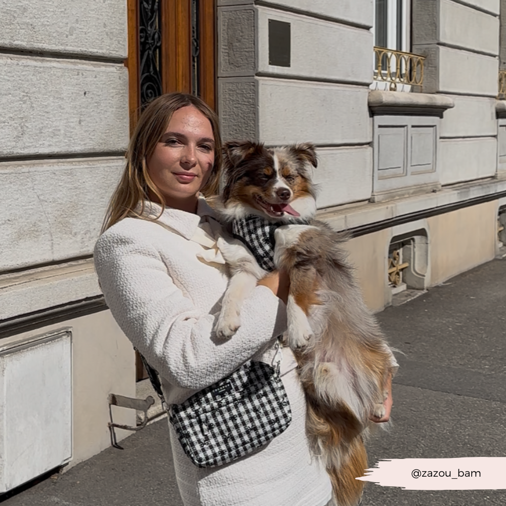 Cocopup London - Bag Strap - Pup in Paris