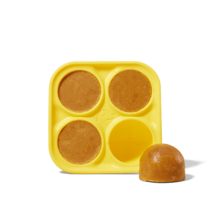 Woof - Pupsicle Treat Tray: Extra Large