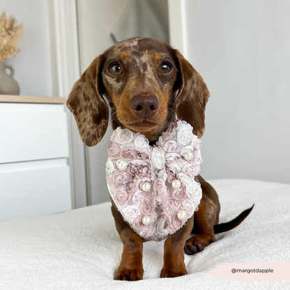 Cocopup London - Pearly Pup Sailor Bow Tie