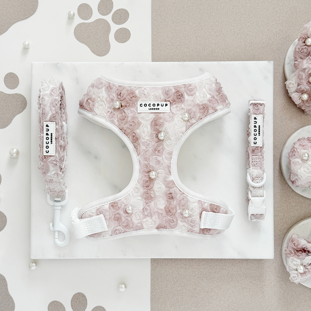 Cocopup London - Pearly Pup Lead