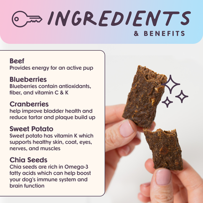 Bundle x Joy - Leash & Load Beef Superfood Jerky Bars for Dogs 16oz: 16oz