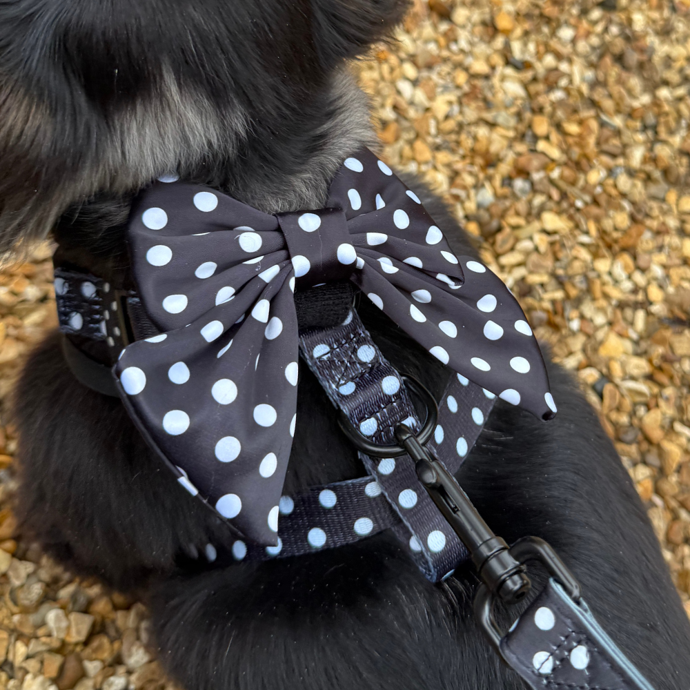 Cocopup London - Satin Polka Dot Sailor Bow Tie