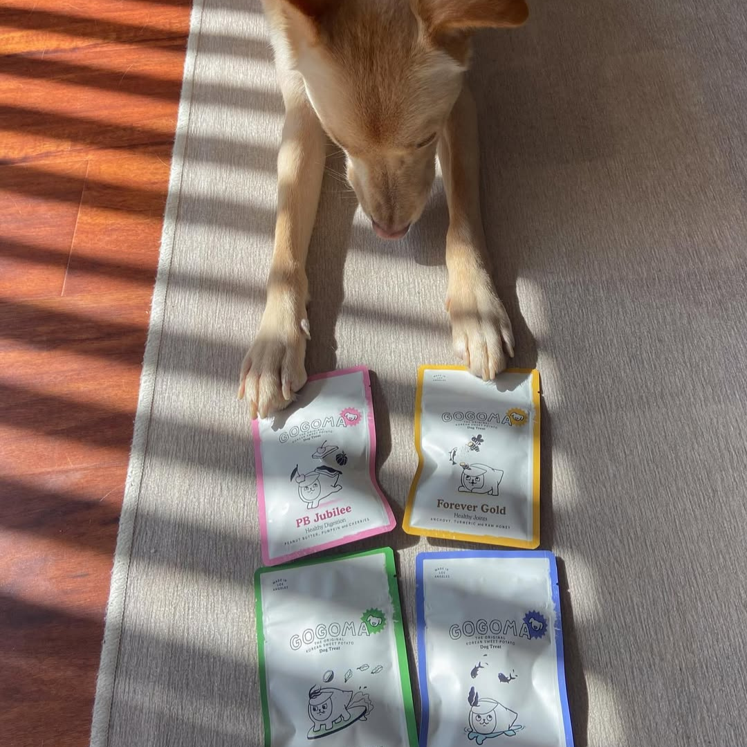 Gogoma - PB + Pumpkin Whole Food Dog Treat for Digestion
