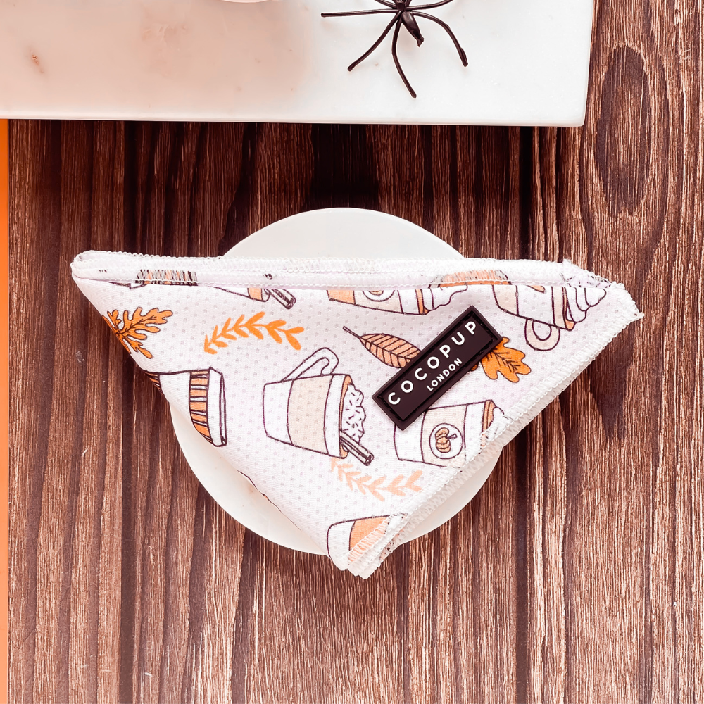 Cocopup London - Autumn Puppuccino Bandana