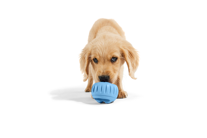 Woof - The Pupsicle - Wholesale Exclusive Color: X-Large