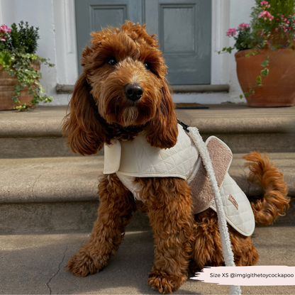 Cocopup London - LUXE Quilted Dog Coat - Creamy Chai: Medium
