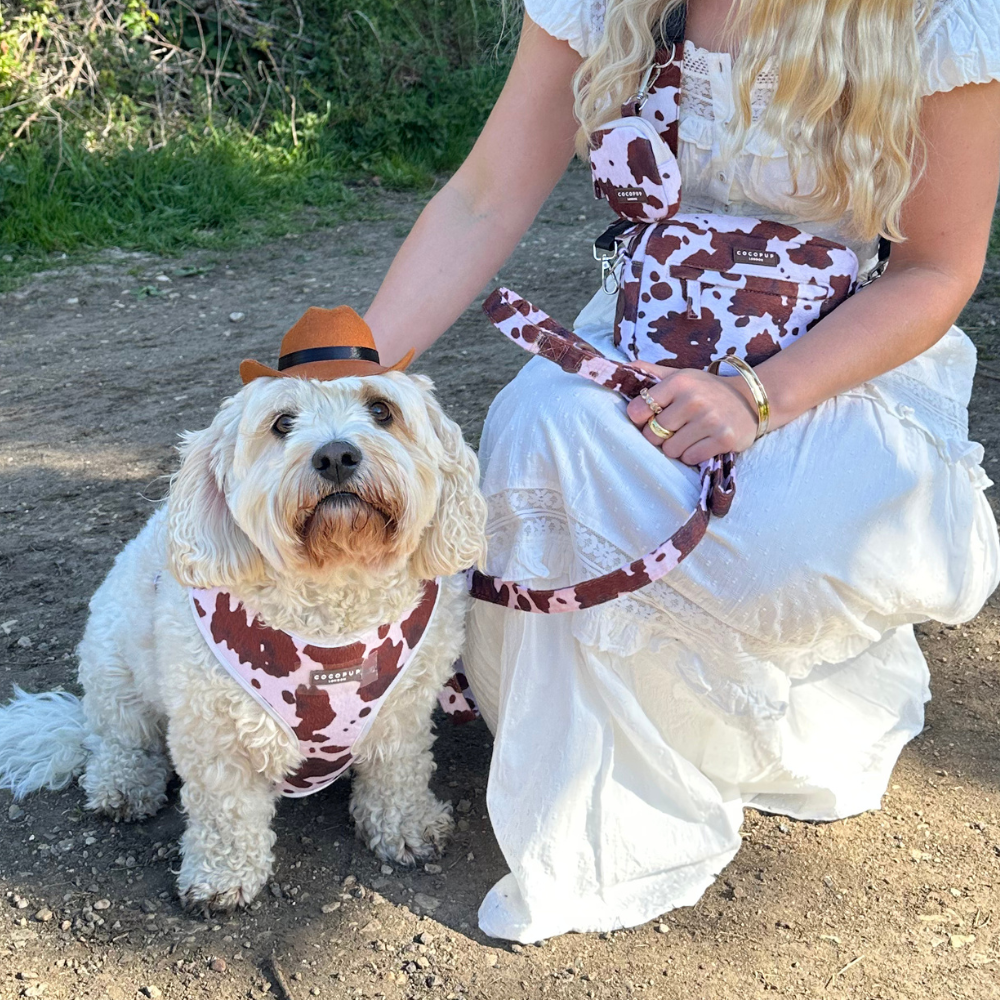 Cocopup London - Rodeo Pup Dog Hat: Small