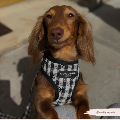 Cocopup London - Pup in Paris Adjustable Neck HARNESS: XS