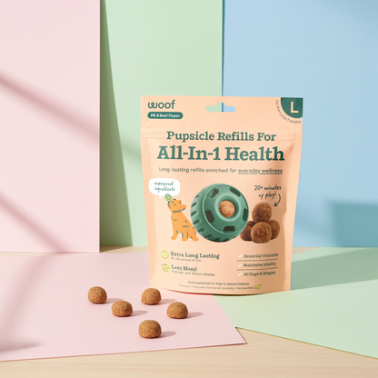 Woof - All-in-1 Wellness Pops: Large