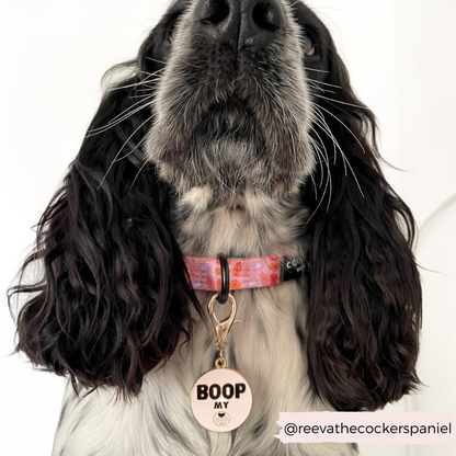 Cocopup London - Dog Collar Charm - Boop My Snoot