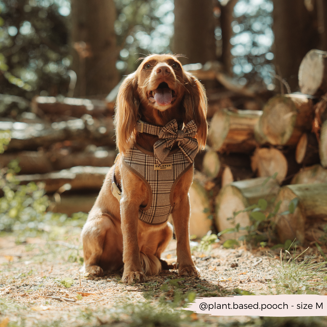 Cocopup London - Pup Plaid Collar: XS
