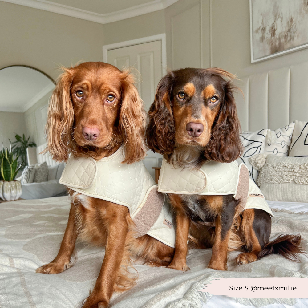 Cocopup London - LUXE Quilted Dog Coat - Creamy Chai: Small