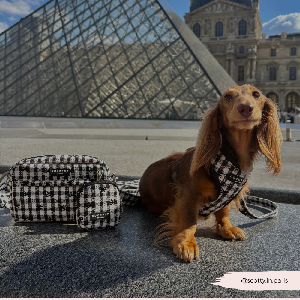 Cocopup London - Pup in Paris Adjustable Neck HARNESS: XS