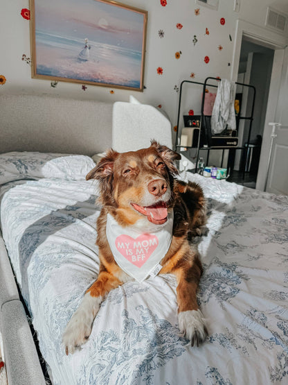 SASSY WOOF - Dog Bandana - My Mom is my BFF (PINK): Pink / Large