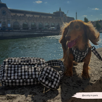 Cocopup London - Pup in Paris Adjustable Neck HARNESS: L