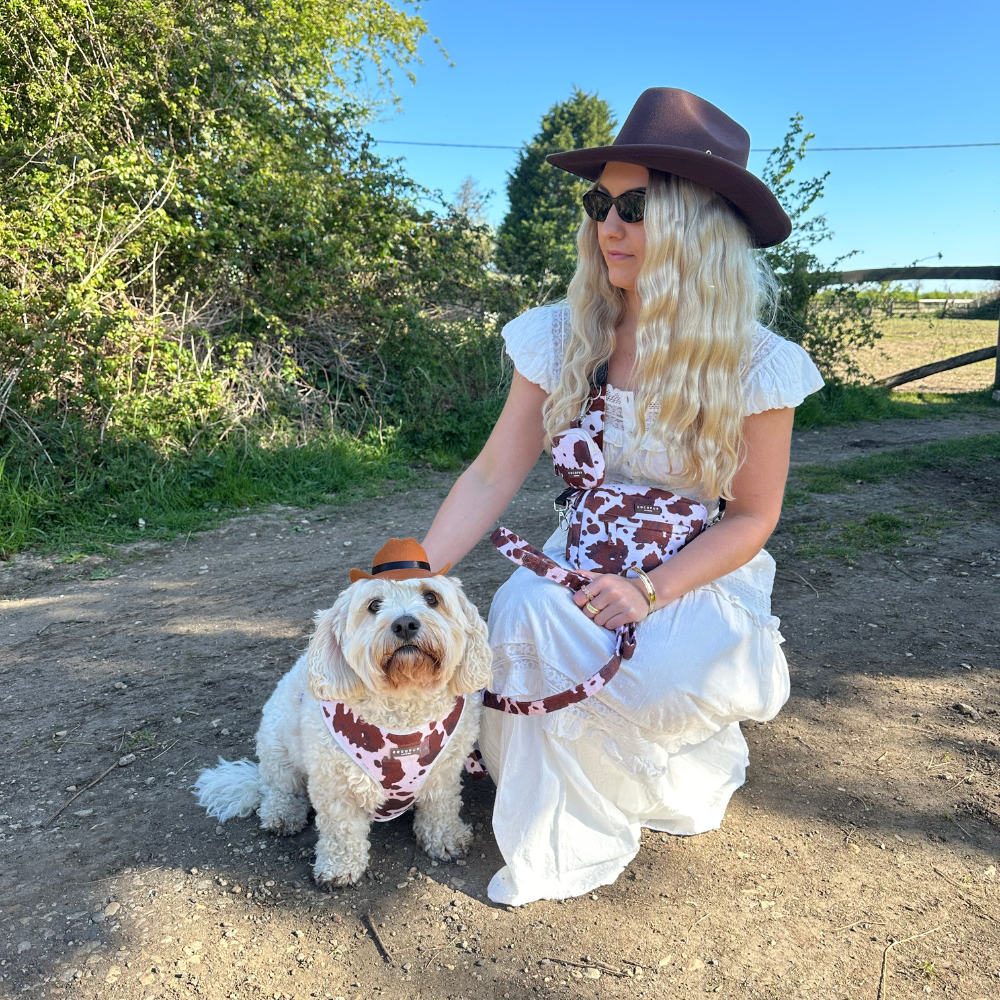 Cocopup London - Rodeo Pup Dog Hat: Small