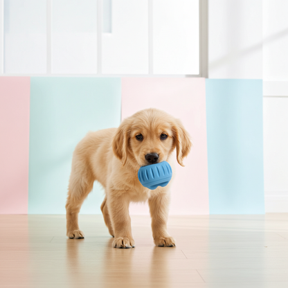 Woof - The Pupsicle - Wholesale Exclusive Color: X-Large