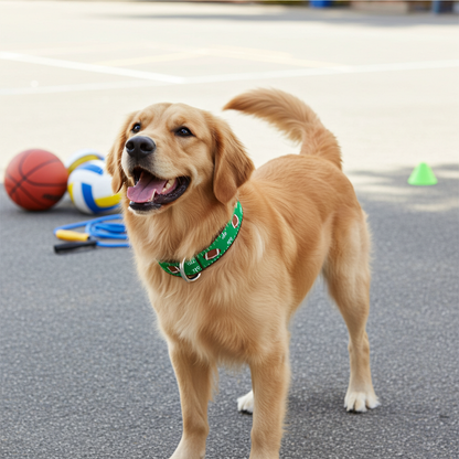 Football Field Collar: Green / Medium