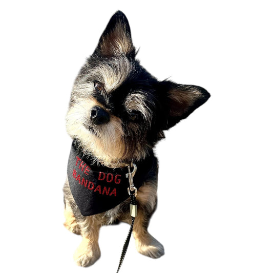 The Dog Bandana