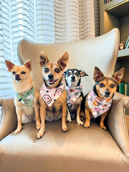 Pet Musings - Choose Happy Pink Wrinkle Resistant Bandana: Small