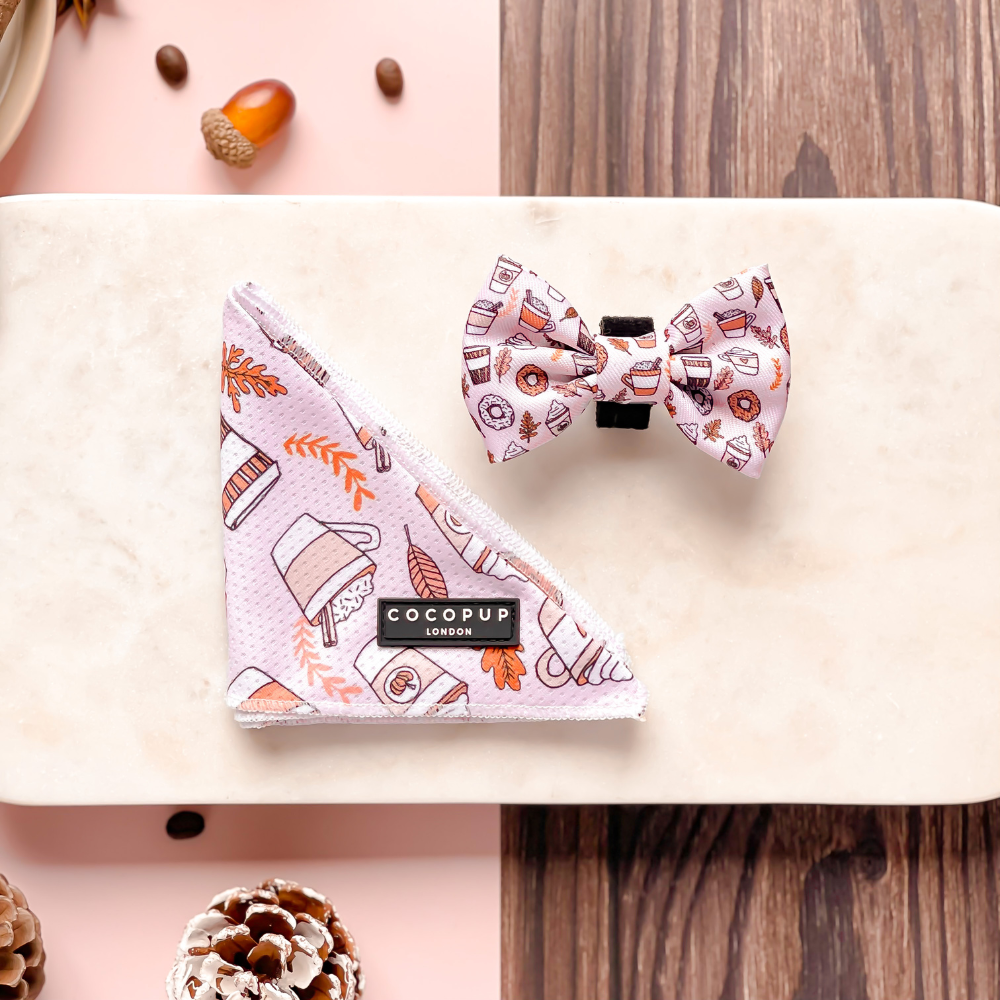 Cocopup London - Autumn Puppuccino Bandana