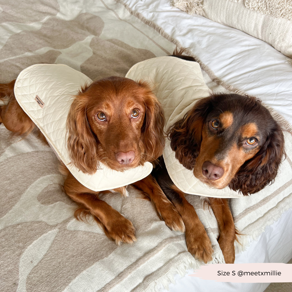 Cocopup London - LUXE Quilted Dog Coat - Creamy Chai: Medium