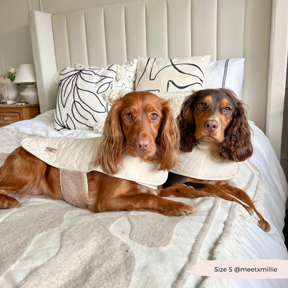 Cocopup London - LUXE Quilted Dog Coat - Creamy Chai: Medium