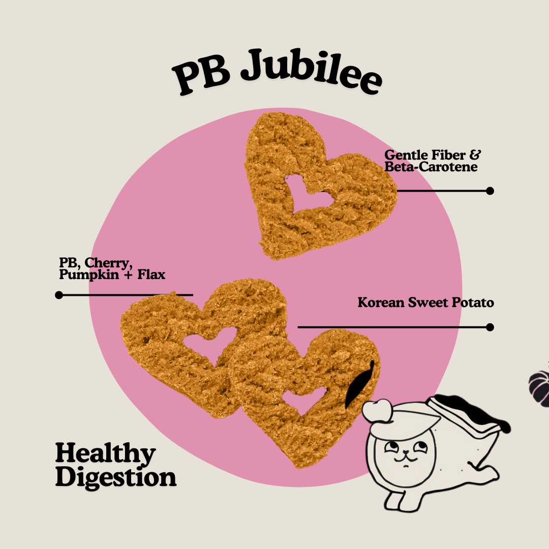 Gogoma - PB + Pumpkin Whole Food Dog Treat for Digestion
