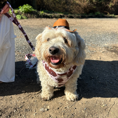 Cocopup London - Rodeo Pup Dog Hat: Small